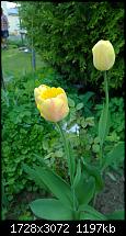 Zeigt her eure Lumia 1520 Fotos-wp_20140407_17_39_00_pro.jpg