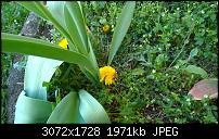 Zeigt her eure Lumia 1520 Fotos-wp_20140401_17_10_49_pro.jpg