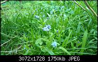 Zeigt her eure Lumia 1520 Fotos-wp_20140411_17_37_19_pro.jpg