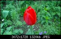 Zeigt her eure Lumia 1520 Fotos-wp_20140411_17_38_07_pro.jpg