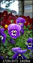 Zeigt her eure Lumia 1520 Fotos-wp_20140410_17_01_39_pro.jpg