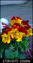 Zeigt her eure Lumia 1520 Fotos-wp_20140410_17_01_54_pro.jpg