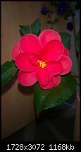 Zeigt her eure Lumia 1520 Fotos-wp_20140410_18_50_58_pro.jpg