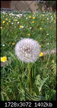 Zeigt her eure Lumia 1520 Fotos-wp_20140416_17_13_51_pro.jpg