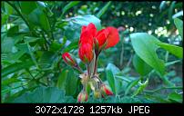 Zeigt her eure Lumia 1520 Fotos-wp_20140627_17_37_13_pro.jpg