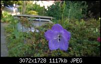 Zeigt her eure Lumia 1520 Fotos-wp_20140627_17_32_29_pro.jpg