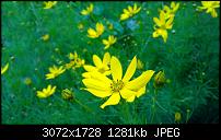 Zeigt her eure Lumia 1520 Fotos-wp_20140627_17_34_13_pro.jpg