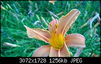 Zeigt her eure Lumia 1520 Fotos-wp_20140627_17_34_42_pro.jpg