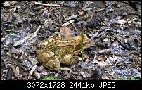 Zeigt her eure Lumia 1520 Fotos-wp_20140717_15_10_08_pro.jpg