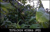 Zeigt her eure Lumia 1520 Fotos-wp_20140823_09_06_16_pro__highres.jpg