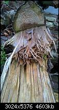 Zeigt her eure Lumia 1520 Fotos-wp_20140823_09_06_46_pro__highres.jpg