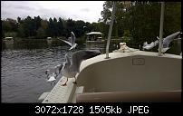 Zeigt her eure Lumia 1520 Fotos-wp_20141005_14_40_41_pro.jpg