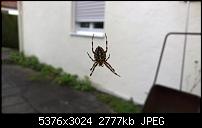 Zeigt her eure Lumia 1520 Fotos-wp_20140921_13_48_02_pro-1.jpg