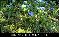 Zeigt her eure Lumia 1520 Fotos-wp_20150504_16_06_26_pro.jpg