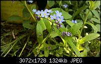 Zeigt her eure Lumia 1520 Fotos-wp_20150504_16_06_55_pro.jpg