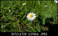 Zeigt her eure Lumia 1520 Fotos-wp_20150504_16_11_28_pro.jpg