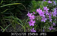 Zeigt her eure Lumia 1520 Fotos-wp_20150504_16_15_24_pro.jpg