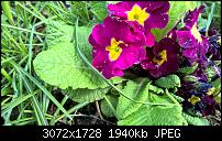 Zeigt her eure Lumia 1520 Fotos-wp_20150504_16_16_11_pro.jpg