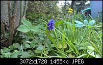 Zeigt her eure Lumia 1520 Fotos-wp_20150504_16_17_02_pro.jpg