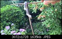 Zeigt her eure Lumia 1520 Fotos-wp_20150528_15_45_21_raw.jpg