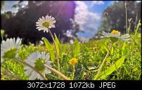 Zeigt her eure Lumia 1520 Fotos-wp_20150529_17_09_50_rich.jpg