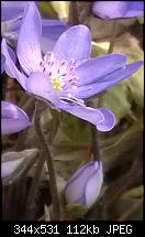 Nokia Lumia 720 - Kamera und Bildqualität-lbl.jpg