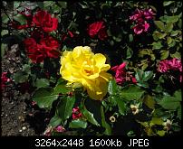 Erste und kommende Eindrücke-wp_000021.jpg