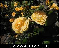 Erste und kommende Eindrücke-wp_000004.jpg