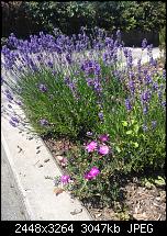 Erste und kommende Eindrücke-wp_000007.jpg