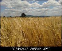 Eure Aufnahmen mit dem Nokia Lumia 800-wp_002497.jpg