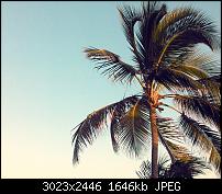 Eure Aufnahmen mit dem Nokia Lumia 800-45906bf6-4fdc-4208-8666-b165f81c1f32.jpg