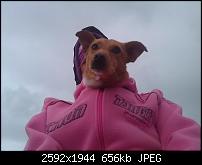 Amazing Everyday-6331928956_f853659739_o.jpg