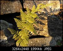 Eure Aufnahmen mit dem Nokia Lumia 800-wp_000009.jpg