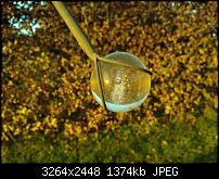 Eure Aufnahmen mit dem Nokia Lumia 800-wp_000015.jpg