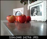 Eure Aufnahmen mit dem Nokia Lumia 800-wp_000134.jpg