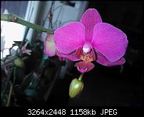 Eure Aufnahmen mit dem Nokia Lumia 800-4007fl4638_wp_000183.jpg