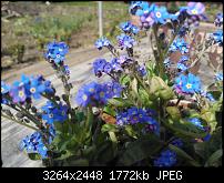 Firmware Update 1600.2487.8107.12070-wp_001333.jpg