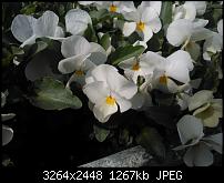 Firmware Update 1600.2487.8107.12070-wp_001336.jpg