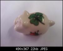 Erste und kommende Eindrücke-gluecksschweinchen-ohne-huelle-fotografiert.jpg