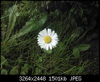 Vergleich Fotoqualität Lumia 800 <> HTC One S-wp_000167.jpg