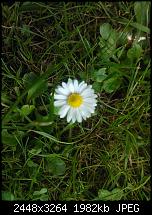 Vergleich Fotoqualität Lumia 800 <> HTC One S-wp_000183.jpg