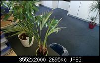 Nokia Lumia 820  Fotoqualität-wp_20121113_006.jpg