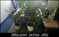Nokia Lumia 820  Fotoqualität-wp_20121113_007.jpg