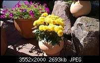 Lumia 820 Fotos wirken unscharf!-wp_20130820_11_31_44_pro.jpg