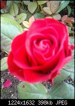 Mein Lumia 900 VS HTC Titan vergleich-wp_000030.jpg