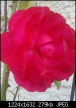 Mein Lumia 900 VS HTC Titan vergleich-wp_000034.jpg