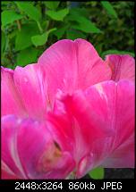 Mein Lumia 900 VS HTC Titan vergleich-wp_001552.jpg