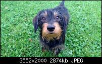 Erste Eindrücke-wp_20121102_008-1-.jpg