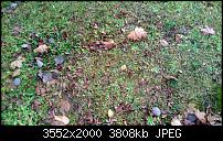 Nokia Lumia 920 - Fotoqualität-wp_20121107_074.jpg