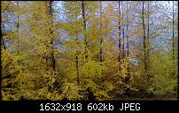 Nokia Lumia 920 - Fotoqualität-wp_20121106_003mdk39.jpg